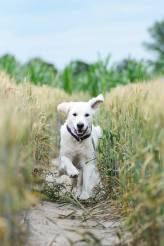 c900646f15dd0bf85b6c95dcc06c8229_164x246