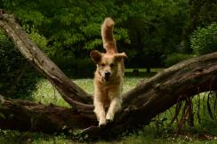 c901f466f86af8bb2bfd6b72386e9237_244