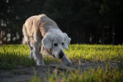 c99fbef69ed3c3096cc7f98a56f526fb_246x164_fill