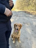 c9e004422b4c1b1290cddabe07d79703_138x184_fill