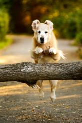 c9faf41ca35bcd388e8811842a50d7dd_164x246