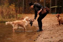 ca0bfe3b6f1e9ac0047204ae99aa8ae2_246x164_fill