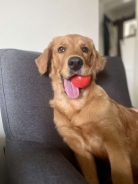 ca1c2be8016f291c0a109d06d6e8b287_138x184_fill