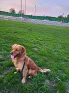 ca4a5bb120d8f539a1a637789fa5062c_138x184_fill