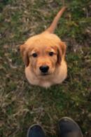 cad40418ddf726168301e4315f8b87f1_130x195_fill