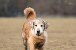 cad44ee340fa67311bf736bc59ccb6b0_246x164_fill