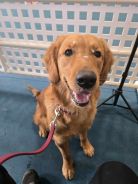 cad5382b63fb98e77e32d3b2f6f70855_138x184_fill