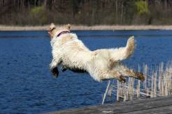 cae0048fb2543d5131490170521aa7a7_246