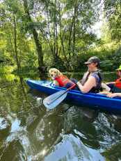 caee5a62574c8468d027915124309ecf_174x232_fill