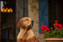 cb0960e650e8019cb1854a366f6c1884_245