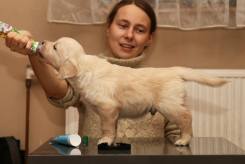 cb2f3b779cdb35c63fad8ccd52e09140_245