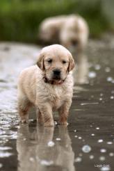 cb695b17ab69a2cc28561322650113a1_164x246