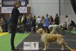 cb75e758343d849d7135988c4a55bb6f_246