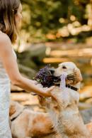 cb9cde96e7736a75f4e5a00f741cb055_130x194