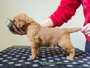 cc1ade2d3a4b7211589ea2e555159f51_183