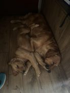 cc4bc5ffcf79d7b3922e2281870b37ef_138x184_fill