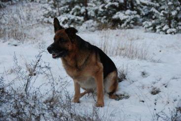 cc62335ec6b19765806de765b80ac4df_367