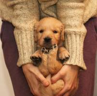 cc8f9dee865a3cb1b3445937431463b4_201