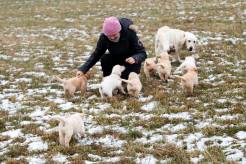 cca3854d9c5d8f9ed366ae194bdeae3f_246x164_fill