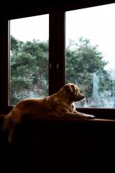 cca596448721e3824f0dfb46b0a089e3_164x246