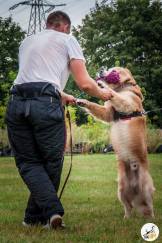 cca76569de0ab7a10a986e82626fb1e4_162x243