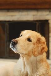 ccce96f8bd76f88b13ac1deaa18f075b_164x245