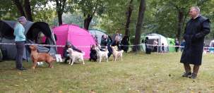 ccd80302d1ba567c024a6c2b0a97e249_303