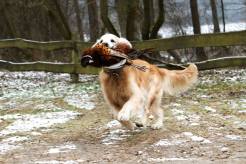 ccfad4f28716b607033f5d84e6eca6c5_246x164_fill