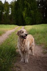 cd29566f3c63dd031ddf3af407048508_164x246_fill