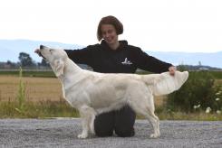 cd321459a2faa08a9f5b85ed5b32fa2a_245