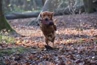 cd4db648e579b5dd35430e313a91ee64_194