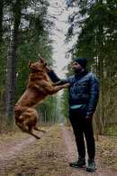 cd4e41a54e4a4d260515d87c15832431_130x195