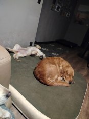 cd52bf62d72bd30bb1c6c670db550e40_174x232_fill