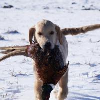 cd8d8b86ded5f268b751f5b5534899a2_200x200_fill