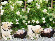 cdb50bf9e23cc3a8fd135cb57ae5e17d_231