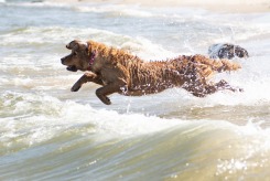 cdb93c4c2e9524af570713d7922fac87_245