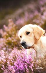 ce3a3ea88d5c5e8eda915c900d3e6de6_158x253