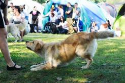 ce453cc5df136dade8a37ddc31b6855c_246