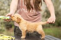 ce79eebf31c05d019b54f079322f4847_195x130_fill