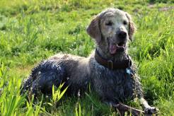 ce99838264d3f41a9294cc89ceb7b0af_246