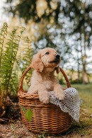 ceca915daa89521b6b6b5c30629cbecb_130x195