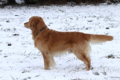 cf1f4447173f81d3f25da9b6daf52004_246x164_fill