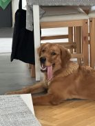 cf6259c076eddffb38eca1bce1c67c85_138x184_fill