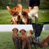 cf9277f22dabdd2a19b7e8471bb69825_160x160_fill