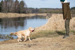 cfb38b798b93c78429d09fbf7a4991f3_246