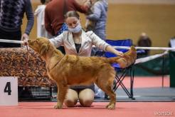 cfd5cc30598964b15076cdbfc7d886e0_246