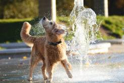 cfe643455fb5b3f7921a3021a1280b5c_246x164_fill