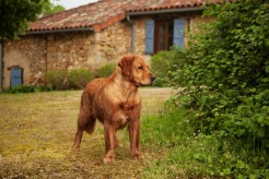 cffacd81484452dddeaa8b87f6cf2cd0_246