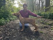 d0454990bacfbc02ac53eee384202d9f_184x138_fill