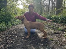 d0454990bacfbc02ac53eee384202d9f_232x174_fill